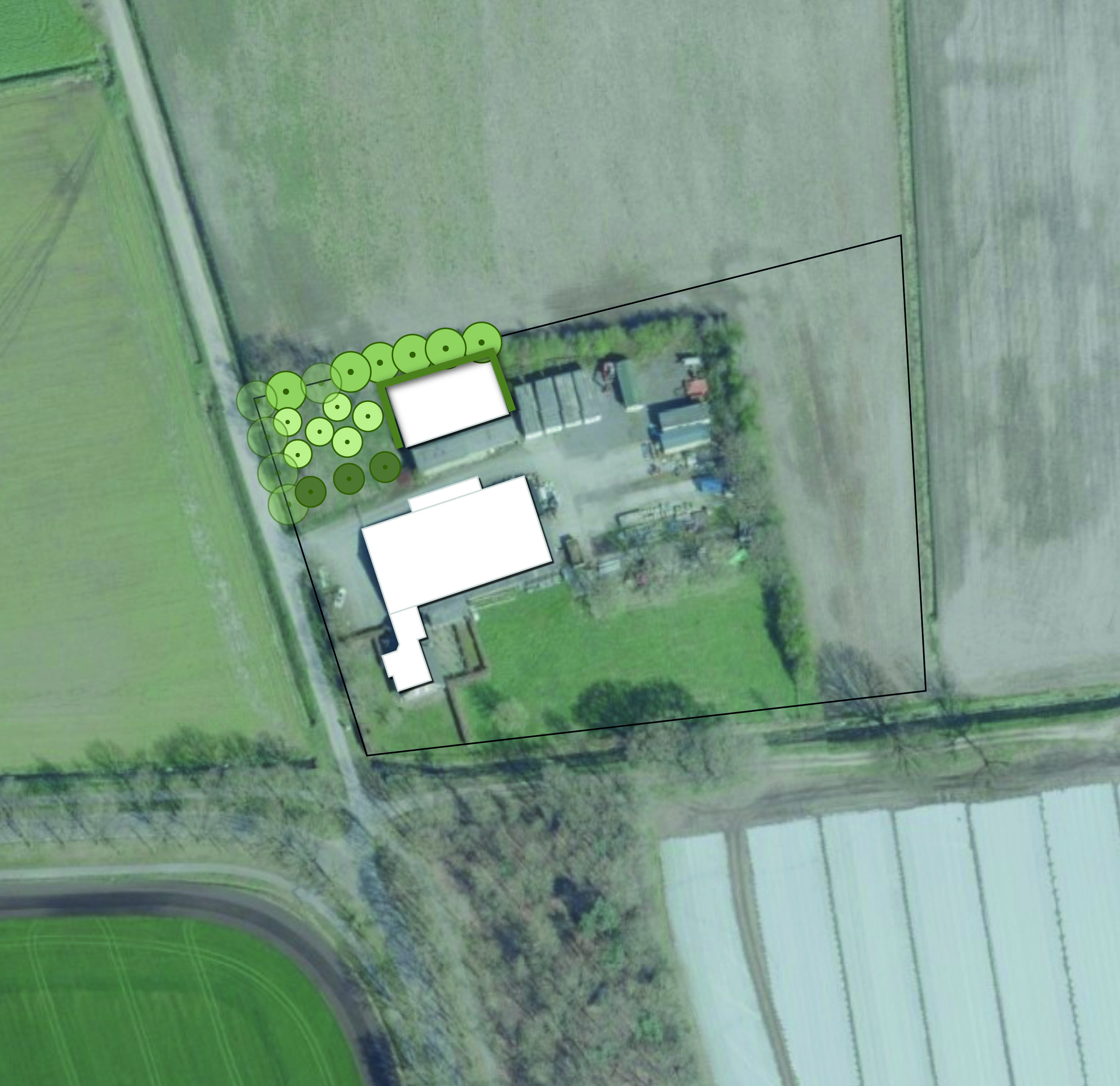 Beplantingsplan_Bomen