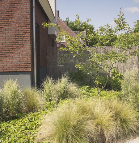 Voortuin beplanting