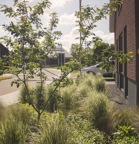 Voortuin beplanting